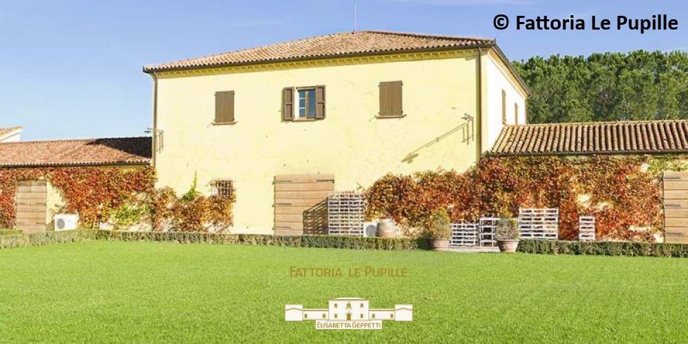Fattoria Le Pupille Fattoria Le Pupille
